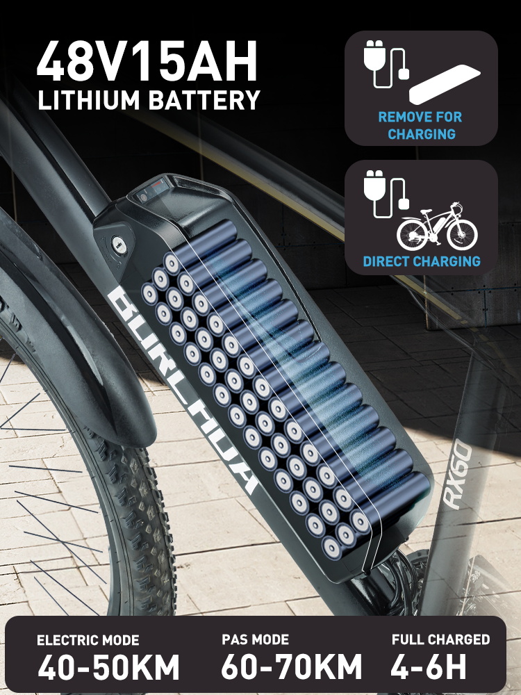 RX60 EBIKE