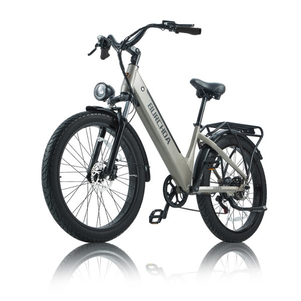 High Power Electric Bike AZ26 48v1000w 20ah lithium battery electric snow bike for adults - Görüntü 4